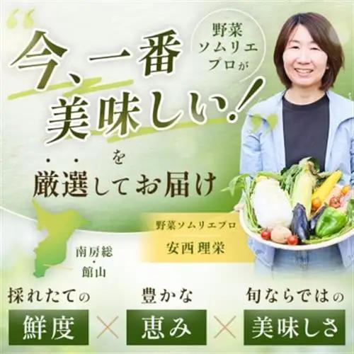 【毎月定期便】【下旬発送】こだわりの旬野菜BOX「リエビン」季節の野菜セット全12回【配送不可地域：離島・沖縄県】【4012347】