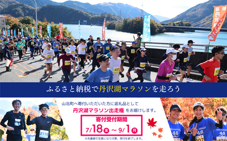 【数量限定】2025年11月30日（日）開催　第47回丹沢湖マラソン大会出走権　10km　＋オリジナルTシャツ＋さくらの湯利用券付き　（駐車券なし）【 マラソン出走権 体験チケット 神奈川県 山北町 