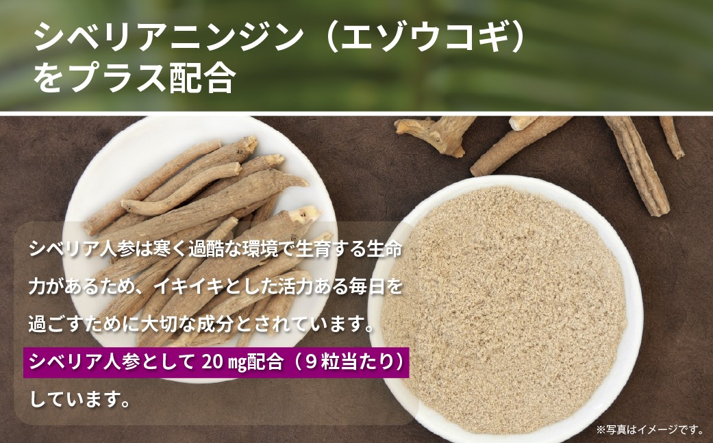 サプリメント ビタミン サプリ さぷりめんと びたみん 栄養
