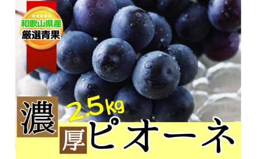 【甘さとみずみずしさが自慢】種なしピオーネ＜ぶどう約 2.5kg＞★2025年8月下旬～9月中旬頃発送予定★