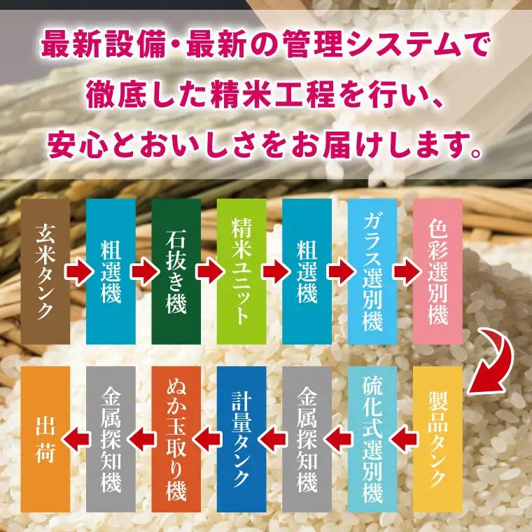 【数量限定】【令和7年産】茨城県産コシヒカリ 5kg (NQ-1)