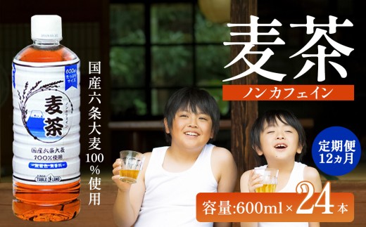 【 12ヵ月定期便 】 ノンカフェイン 麦茶 600ml×24本×1ケース 国産六条大麦100％使用 | お茶 茶 むぎちゃ 麦茶 ペットボトル 静岡県 小山町 麦茶
