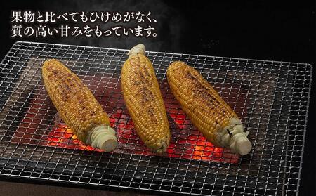 【先行予約】象もろこし（ライオンコーン）　大きいサイズのトウモロコシ　480ｇ以上8本入り(2024年8月下旬～発送開始予定)