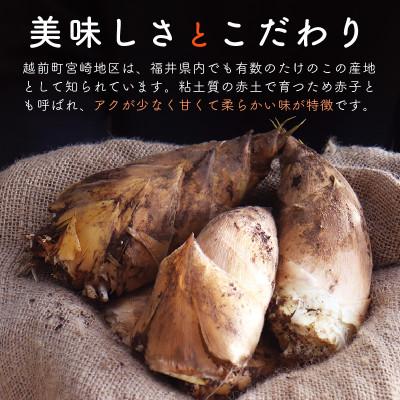 ふるさと納税 越前町 越前町宮崎地区産 たけのこ 約1kg |  | 01