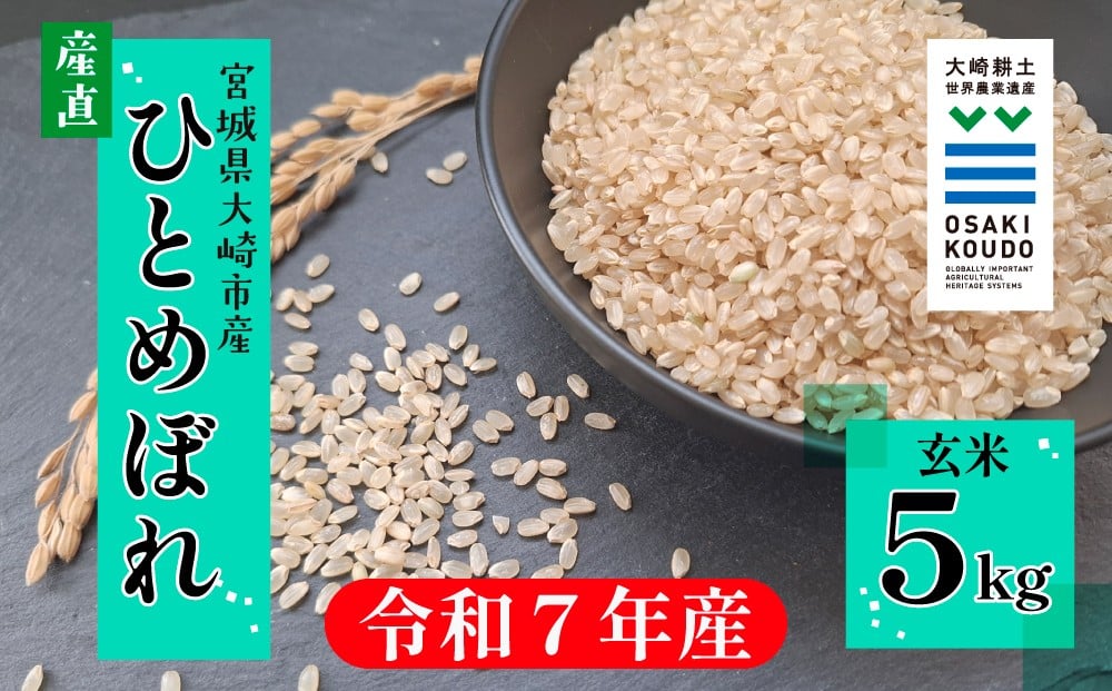 
            【令和7年産】宮城県大崎市古川産 ひとめぼれ〈玄米〉5kg｜自然のやさしさが詰まったふっくら米
          