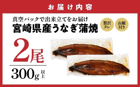 【父の日】宮崎県育ちのうなぎ蒲焼2尾300g以上≪山椒・たれ付≫≪6月18日～21日お届け≫_13-M301-FG_(都城市) うなぎ蒲焼(有頭) 宮崎県産 真空 山椒・たれ付 父の日 ギフト