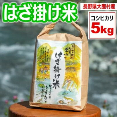 【ふるさと納税】はざかけ米(令和8年度産米)5kg 白米【1722998】