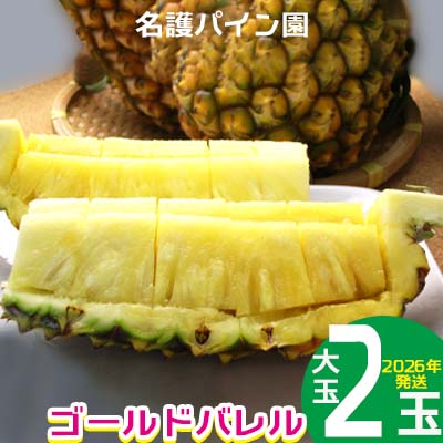 【ふるさと納税】2026年発送【名護パイン園】　ゴールドバレル（大玉2玉） 先行予約　 パインアップル パイナップル 期間限定 数量限定 フルーツ くだもの 果物 贈答 贈り物 プレゼント 人気 おすすめ 南国 お土産 ギフト デザート 青果 沖縄 おきなわ 年末