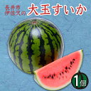 【ふるさと納税】【2025年7月〜8月発送分先行受付】長井市伊佐沢の大玉すいか約6〜8kg×1玉_H055(R7)