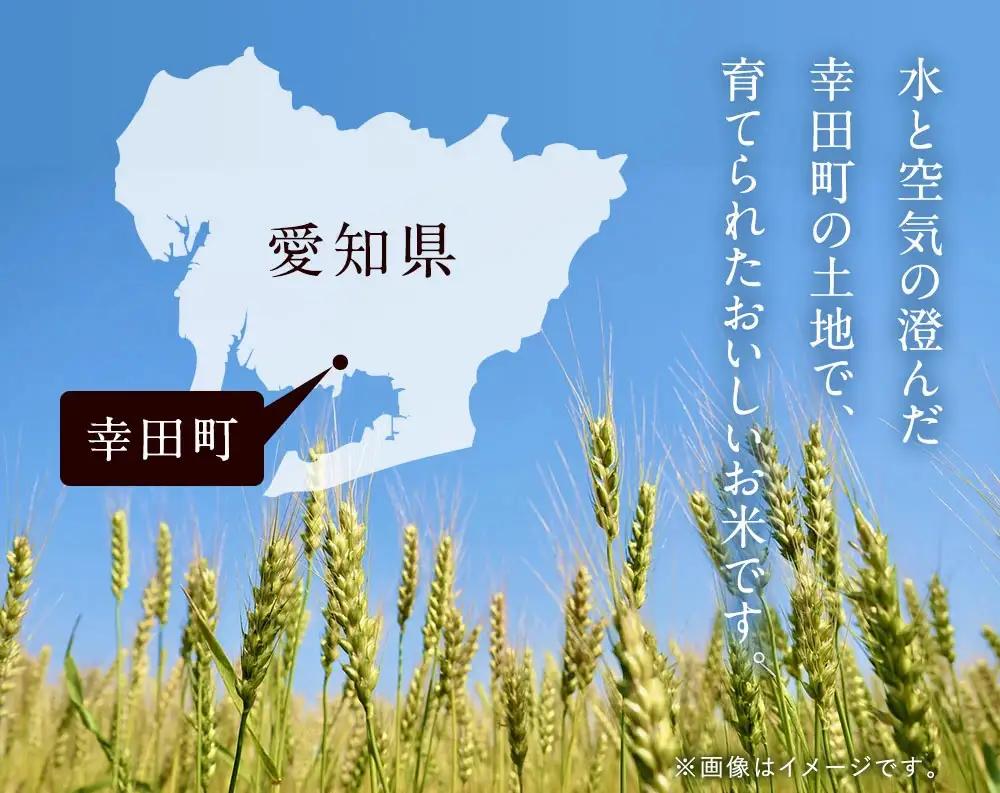 幸田町産「栄養週期栽培米」あいちのかおり 10kg 白米 精米 お米 米 ご飯