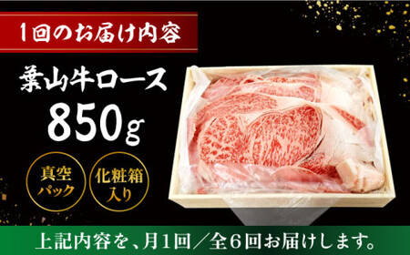 【全6回定期便】【化粧箱入り】葉山牛ロース スキヤキセット(葉山牛ロース850g) ／ 牛肉 和牛 すき焼き 神奈川県 【有限会社葉山旭屋牛肉店】[ASAP015]