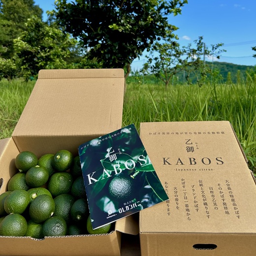 かぼす発祥の地臼杵市乙見・ブランドかぼす【乙御KABOS】２㎏　カボス 青果 柑橘 