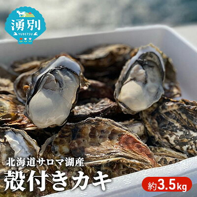 【ふるさと納税】先行予約 北海道 サロマ湖産 カキ 約3.5kg 殻付き生牡蠣 冷蔵 産地直送 オホーツク 魚介 貝類 焼き牡蠣 蒸し牡蠣 湧別町　お届け：2026年11月～2027年1月末頃まで