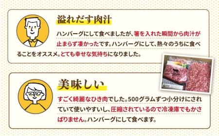 【小分けがうれしい！】牧場直営店の黒毛和牛100%ミンチ 1000g（500g×2パック）【川崎畜産】 [IAX004]