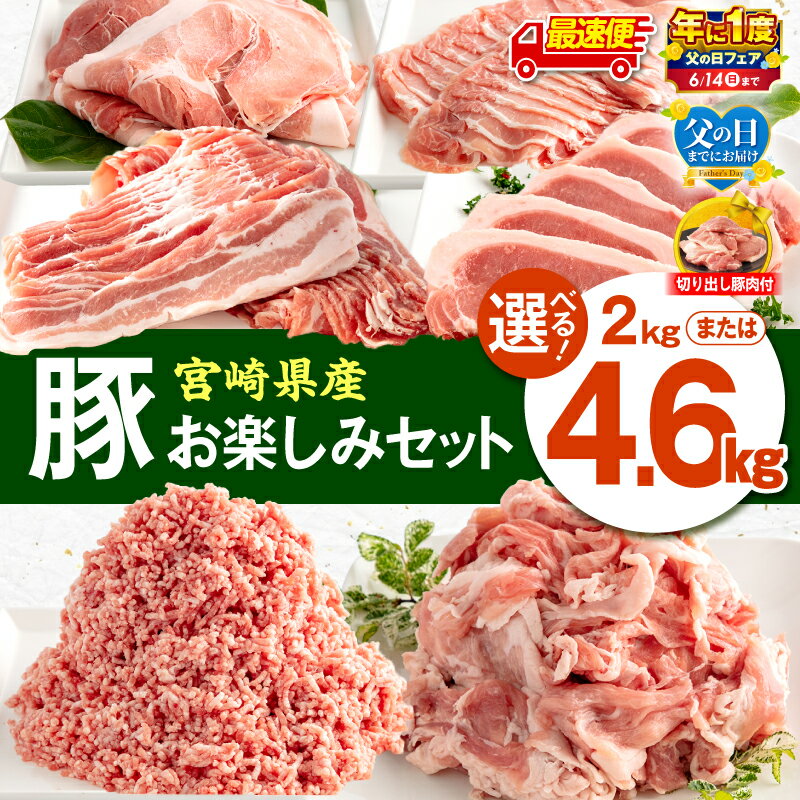 宮崎県産豚 お楽しみセット 計4kg（豚ローススライス・豚バラスライス・豚モモスライス・豚ロースとんかつ・豚切落し・豚ミンチ肉）豚肉セット