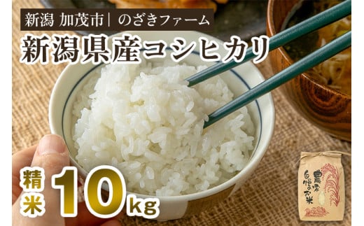 【令和7年産新米先行予約】新潟県産コシヒカリ 精米10kg（10kg×1袋）（従来品種） 《9月下旬から順次出荷》 新潟米 お米 こめ コメ ライス ご飯 白米 加茂市 のざきファーム