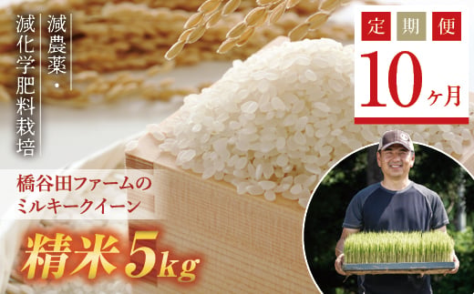 
                  《定期便10ヶ月》【先行予約】令和6年産米    減農薬・減化学肥料栽培 西会津産米 ミルキークイーン 精米 5kg 米 お米 おこめ ご飯 ごはん 福島県 西会津町 F4D-0870
                