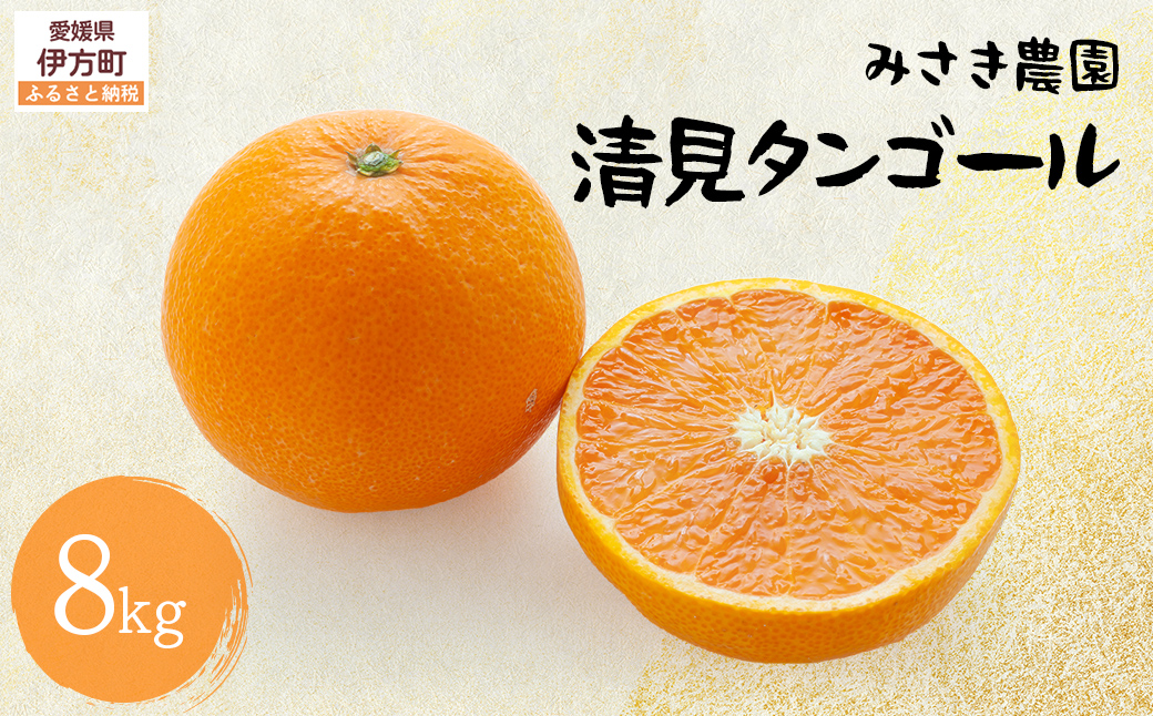 清見タンゴール 8kg ※北海道、沖縄・離島への配送不可（2026年3月中旬ごろから順次発送）　IKTAP003