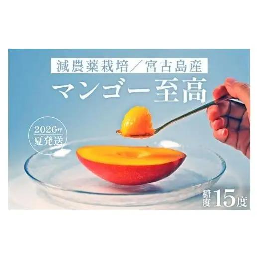 《先行予約》沖縄県宮古島産 減農薬栽培マンゴー 2kg【最良品】｜贈答用・糖度15度以上！｜琉球マルシェ