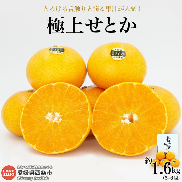 【ふるさと納税】＜「極上せとか」約1.6kg（2L～3L）＞※2026年2月下旬～3月末迄に順次出荷 贈答用 ギフト 贈り物 有機肥料 高糖度 甘い みかん ミカン 蜜柑 柑橘類 かんきつ フルーツ 果物 くだもの 特産品 期間限定 季節限定 旬 産地直送 茨木農園 愛媛県 西条市 【常温】