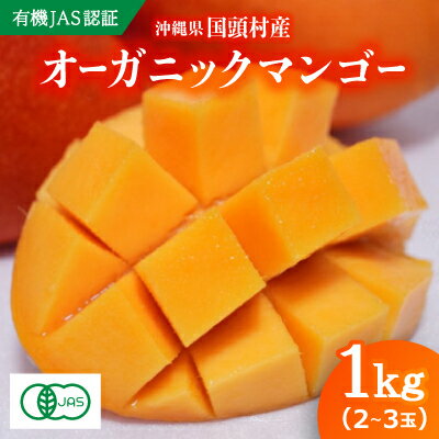 【ふるさと納税】【有機JAS認証】オーガニックマンゴー1kg(2～3玉)【配送不可地域：離島】【1589195】
