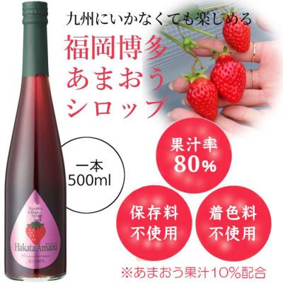 ふるさと納税 水俣市 九州を飲む! 九州果実 シロップ あまおう 500ml 1本 【福田農場】 |  | 01