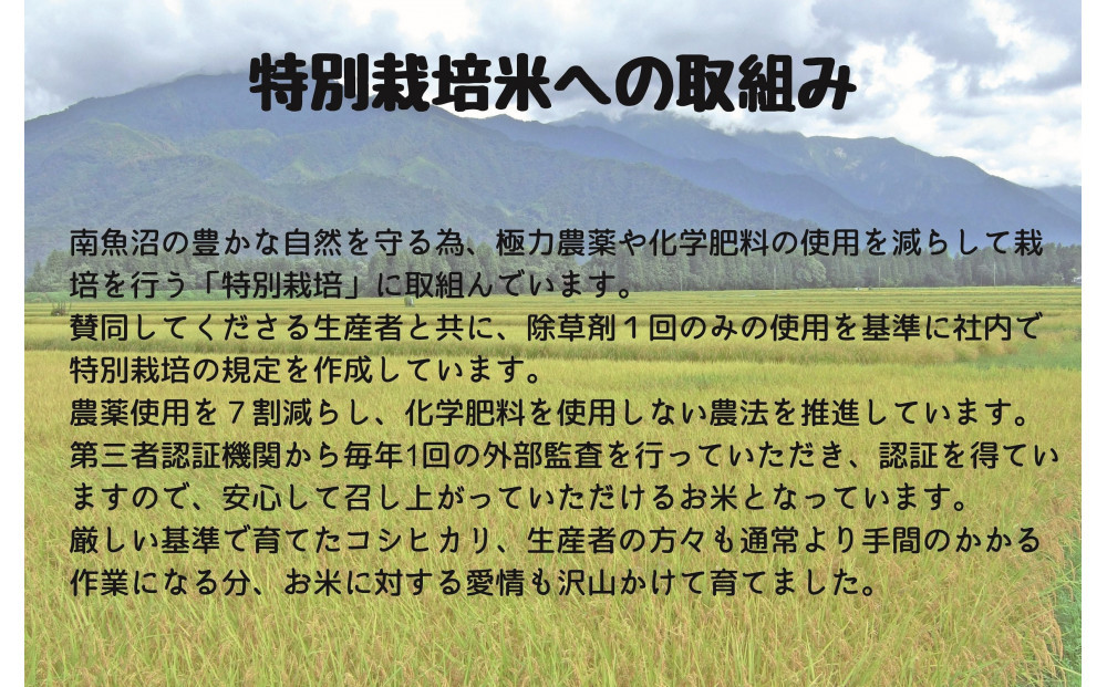 【令和7年産米】南魚沼産コシヒカリ特別栽培米 白米 2kg×2袋 計4kg