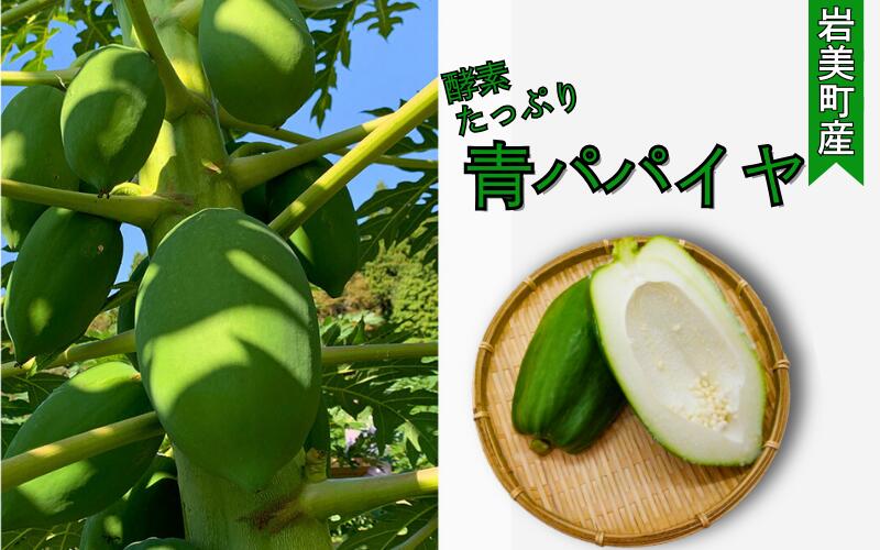 【ふるさと納税】たなか農園　青パパイヤ【32003】