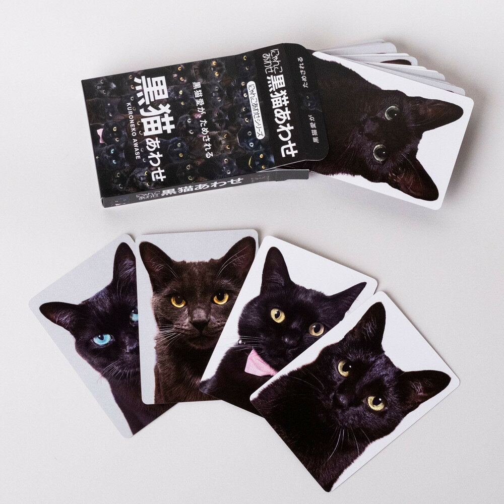 【ふるさと納税】難易度MAXのツンデレ仕様！黒猫あわせ | 中野区 ユニーク 難易度高い 謎解きゲーム 黒猫 カードゲーム 謎解き 人気 おすすめ 送料無料