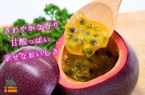 【今が旬！】太陽が育てた徳之島産パッションフルーツ（1kg） ※2025年6月～7月発送 ( 旬 フルーツ 果物 島フルーツ 酸味 甘み 徳之島 奄美 鹿児島 プチプチ 食感 果汁 フレッシュ 美味し