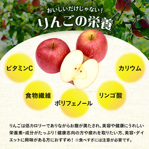 サイキチ農園 サンふじ 約 3kg (8～11玉)  青森県鰺ヶ沢町産 りんご リンゴ  フルーツ 果物 果物類 林檎 
