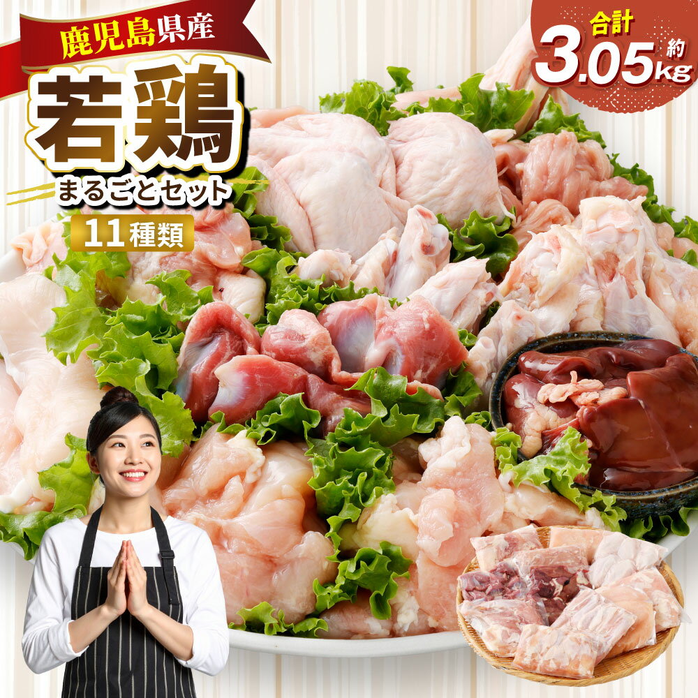 【ふるさと納税】鹿児島県産 若鶏まるごと 約3.05kgセット 若鶏 もも肉 モモ肉 カット むね肉 ささみ 砂肝 肝 手羽先 手羽中 手羽元 肩肉 せせり 骨付きもも肉 小分け 鶏肉 冷凍 新鮮 モモ ムネ 肉 手羽 唐揚げ からあげ チキン南蛮 鹿児島県 薩摩川内市 送料無料 AS-797
