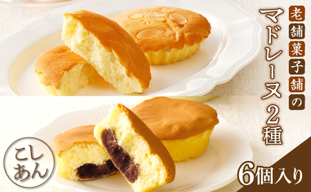 【2週間以内発送】老舗菓子舗のマドレーヌ2種セット「合計6個・個包装」 焼き菓子 スイーツ 詰め合わせ 洋菓子_T035-0205