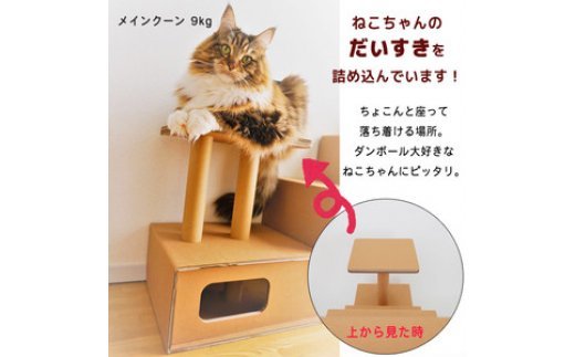 【ペット遊具】おもちゃ キャットタワー 猫用 ネコ 101-N142