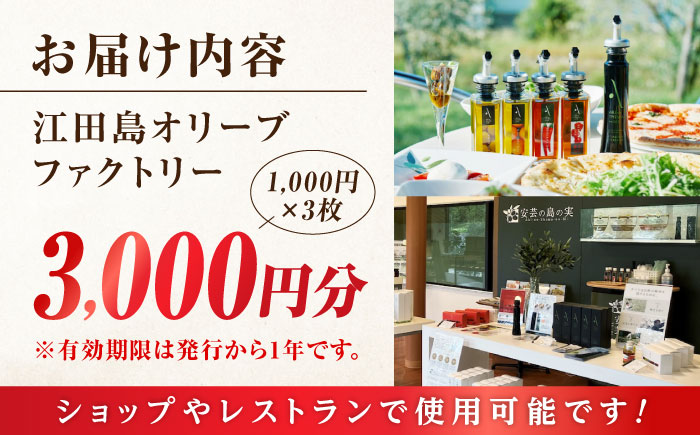 絶品オリーブオイルを江田島で！ 『江田島オリーブファクトリー』 商品券 3000円分（1000円分×3枚） オリーブオイル ドレッシング 食用油 ギフト 簡単 レシピ 国産 広島県産 江田島市/山本倶