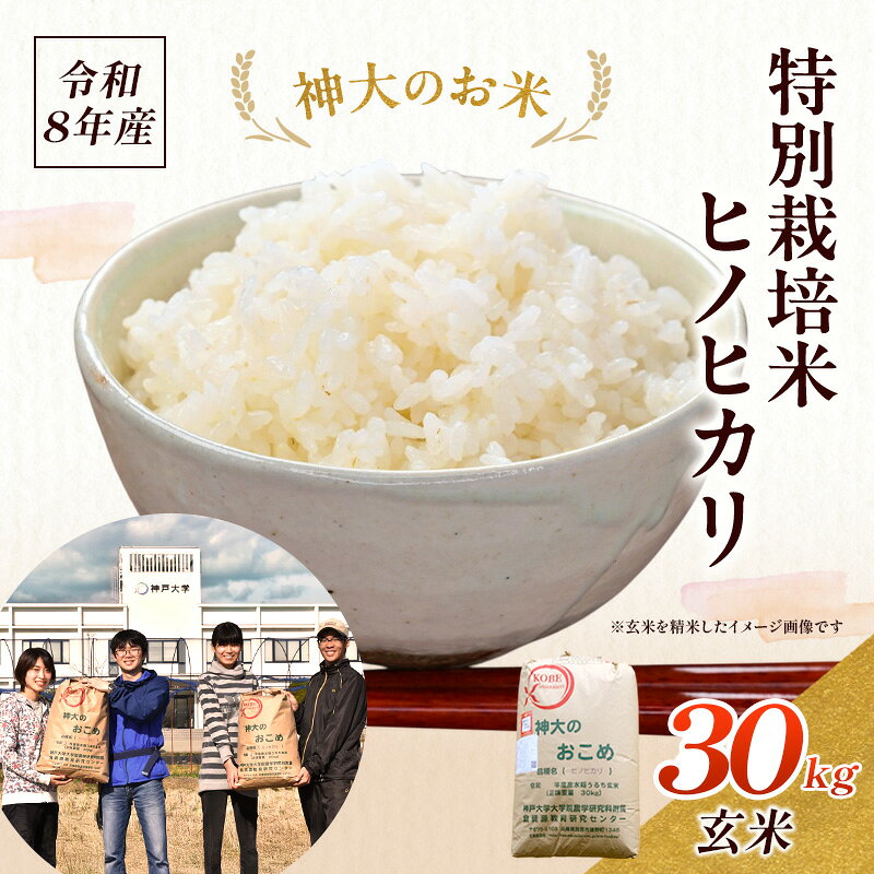 【ふるさと納税】米 令和8年産 神大のおこめ 特別栽培米 ヒノヒカリ 玄米 30kg 兵庫県加西市 お米 安心 安全 単一原料米 ご飯　お届け：2026年11月中旬～2027年1月下旬