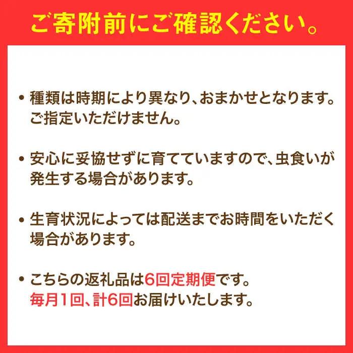 【全6回定期便】農家セレクト！特別栽培 日田の厳選食材 詰め合わせ日田市 野菜 果物 米 産地直送 新鮮 セット[ARBR003]