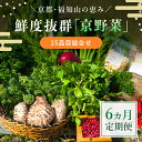 【ふるさと納税】 【6ヵ月定期便】鮮度抜群「京野菜」15品目詰合せ ふるさと納税 京野菜 野菜 新鮮 15品目 詰合せ 定期便 6か月 京都府 福知山市 FCCM019