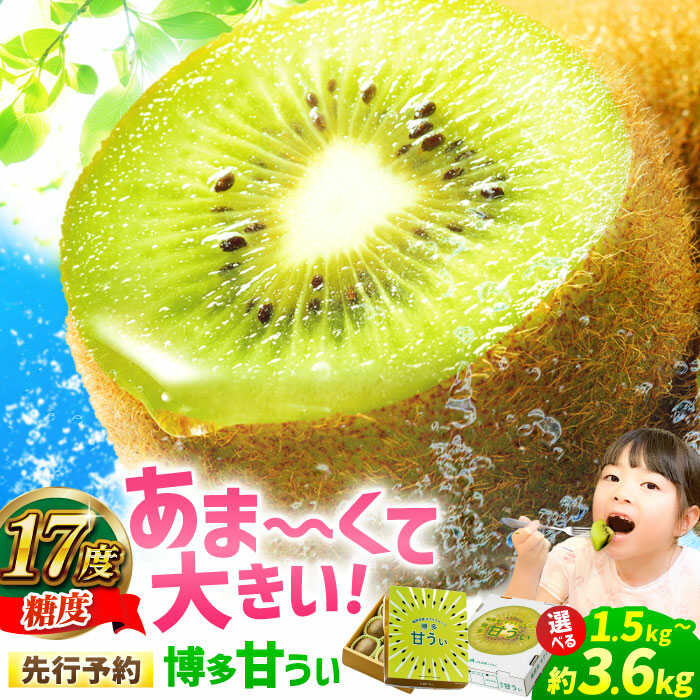 【ふるさと納税】【★先行予約★　2025年11月上旬より発送】〈選べる容量〉福岡県ブランド! キウイフルーツ 博多甘うぃ 約1.5kg～約3.6kg 果物 くだもの 広川町 / JAふくおか八女農産物直売所どろや[AFAB013]
