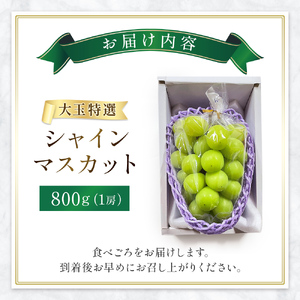 【先行受付・産直もぎたて】大玉 特選 シャインマスカット 800g（国産 フルーツ 果物 くだもの ブドウ ぶどう 旬 先行受付 2026 大玉 厳選 限定） シャインマスカット シャインマスカット 