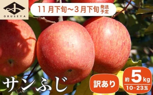 【訳あり】 【先行受付】サンふじ 約5kg 10～23玉 ［小布施屋］ りんご 林檎 リンゴ 不揃い 規格外 果物 フルーツ 生産者応援 支援 家庭用 長野県産 信州産 小布施町 令和8年産 【2026年11月下旬～2027年3月下旬発送】 ［A-12］