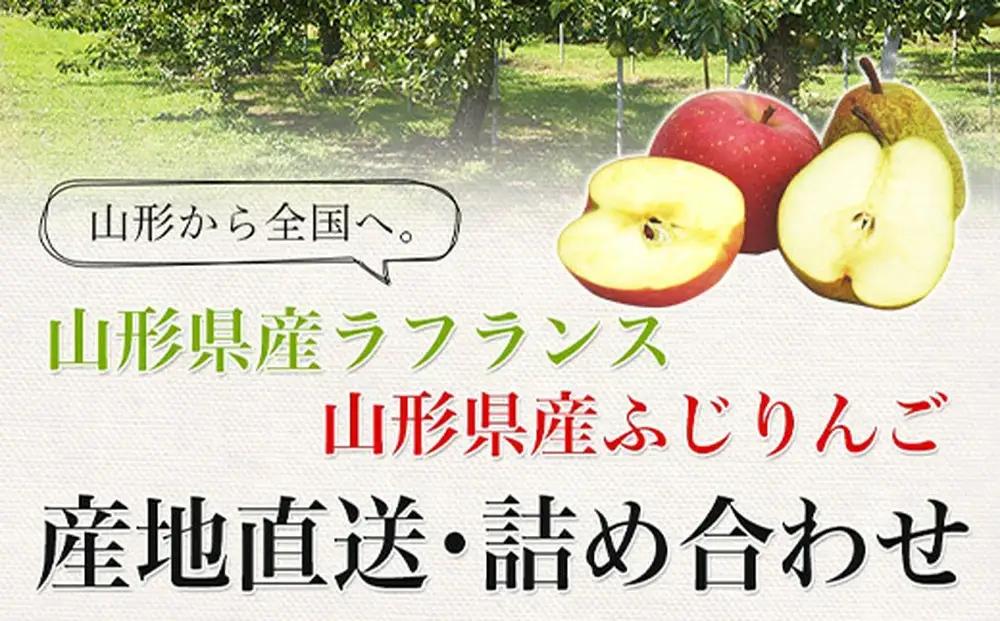 ラ・フランス & サンふじ 詰合せ 3kg 山形 りんご ラフランス