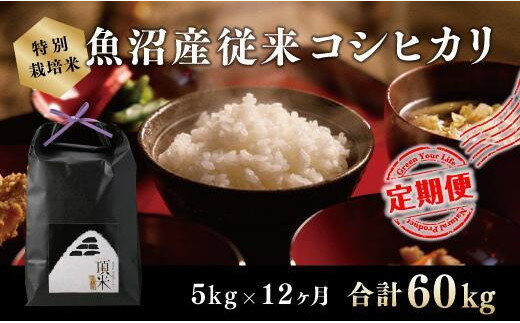 【ふるさと納税】12カ月定期便【特別栽培米】頂米金兵衛 魚沼産従来コシヒカリ（精米）5kg お米 コメ