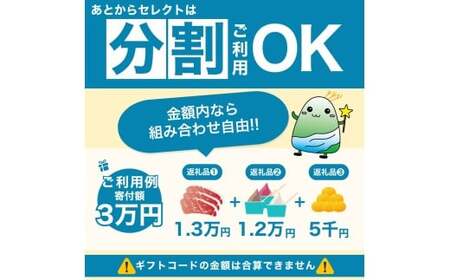 あとからセレクト 【ふるさとギフト】 10万円分  和歌山県 紀美野町  【atokara015】