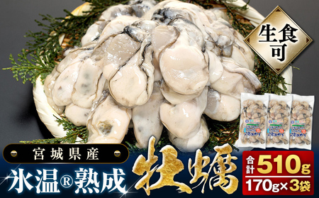 【 先行予約 】 牡蠣 生食用 冷凍牡蠣 氷温熟成かき 170g×3袋 (510g) 宮城県産 ｜生かき 生カキ 生牡蠣 冷凍かき 冷凍カキ 冷凍牡蠣 生で食べられる 小分け かきむき身 カキむき身 牡蠣むき身 【2025年3月中旬から順次発送予定】