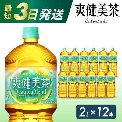 ふるさと納税 三原市  爽健美茶 PET 2L×12本(6本×2ケース)  [014-063]