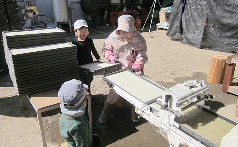 米 定期便 6ヶ月 関口さんちのお米 コシヒカリ 5kg お米 こめ コメ 精米 白米 ご飯 こしひかり 長野 信州 6回 半年 お楽しみ