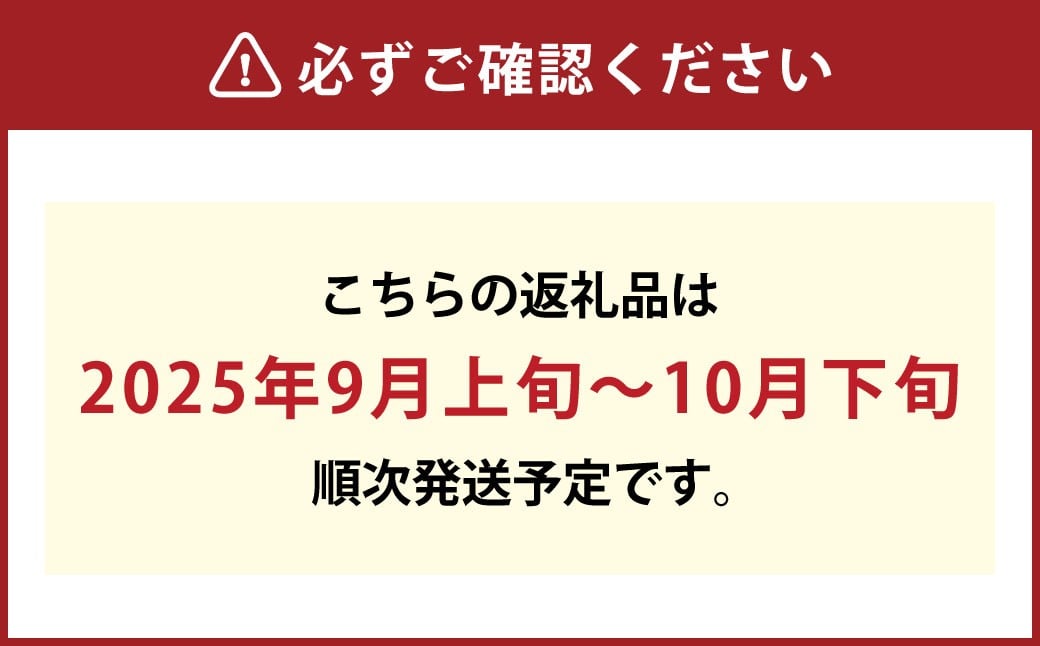 岡山県産シャインマスカットつる付き2房入り（1房580ｇ以上）
