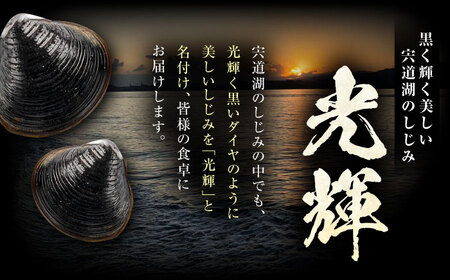 【全3回定期便】産地直送！宍道湖産 冷凍大和しじみLサイズ4kg(500g×8) 砂抜き処理済 島根県松江市/りすたむmatsue[ALDE016]