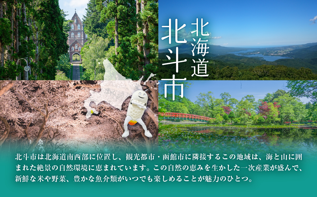 【寄附額見直しました！】【令和7年産】特別栽培米ゆめぴりか9kg(4.5kg×2) HOKH005